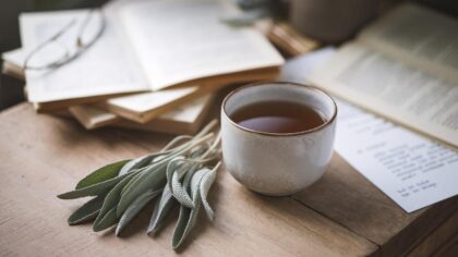 Fin d'un mythe : la sauge ne booste pas toujours la mémoire, seulement si elle est consommé de cette manière
