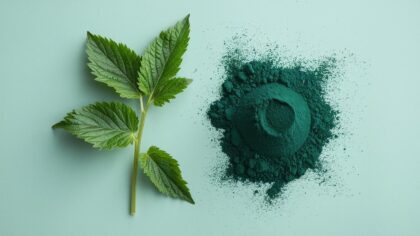 Ortie vs spiruline : le duel qui fait trembler les compléments