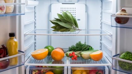 Pourquoi tout le monde met des feuilles de laurier dans son frigo ? On vous explique